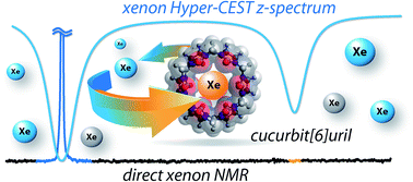 Graphical abstract: Identification, classification, and signal amplification capabilities of high-turnover gas binding hosts in ultra-sensitive NMR