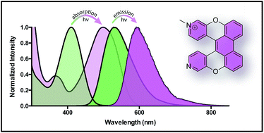 Graphical abstract: Synthesis and properties of lysosome-specific photoactivatable probes for live-cell imaging