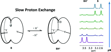 Graphical abstract: A ratiometric NMR pH sensing strategy based on a slow-proton-exchange (SPE) mechanism