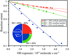 Graphical abstract: Nanoscale interfacial gradients formed by the reactive uptake of OH radicals onto viscous aerosol surfaces