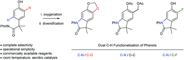 Graphical abstract: A bio-inspired synthesis of oxindoles by catalytic aerobic dual C–H functionalization of phenols