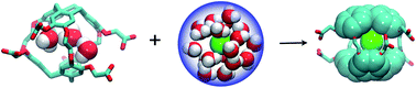 Graphical abstract: Xe affinities of water-soluble cryptophanes and the role of confined water