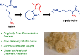 Graphical abstract: New chemosynthetic route to linear ε-poly-lysine