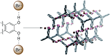 Graphical abstract: Anion-templated hexagonal nanotubes