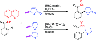 Graphical abstract: Rhodium-catalyzed regioselective addition of the ortho C–H bond in aromatic amides to the C–C double bond in α,β-unsaturated γ-lactones and dihydrofurans