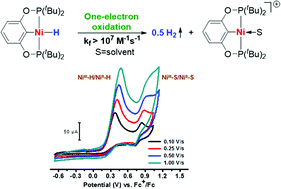 Graphical abstract: Rapid oxidative hydrogen evolution from a family of square-planar nickel hydride complexes