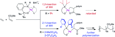 Graphical abstract: Ligand-controlled insertion regioselectivity accelerates copolymerisation of ethylene with methyl acrylate by cationic bisphosphine monoxide–palladium catalysts