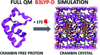Graphical abstract: Elucidating the fundamental forces in protein crystal formation: the case of crambin