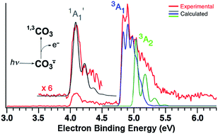 Graphical abstract: Negative ion photoelectron spectroscopy confirms the prediction that D3h carbon trioxide (CO3) has a singlet ground state