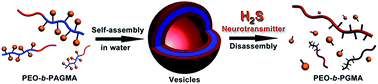 Graphical abstract: H2S gasotransmitter-responsive polymer vesicles