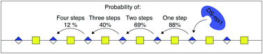 Graphical abstract: Deciphering the mode of action of the processive polysaccharide modifying enzyme dermatan sulfate epimerase 1 by hydrogen–deuterium exchange mass spectrometry