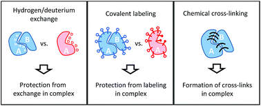 Graphical abstract: Cross-linking and other structural proteomics techniques: how chemistry is enabling mass spectrometry applications in structural biology