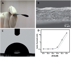 Graphical abstract: Energy harvesting from enzymatic biowaste reaction through polyelectrolyte functionalized 2D nanofluidic channels