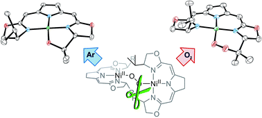 Graphical abstract: Electronic structure and reactivity of nickel(i) pincer complexes: their aerobic transformation to peroxo species and site selective C–H oxygenation