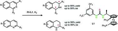 Graphical abstract: Strong Brønsted acid promoted asymmetric hydrogenation of isoquinolines and quinolines catalyzed by a Rh–thiourea chiral phosphine complex via anion binding