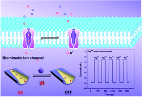 Graphical abstract: Fabrication of a mercaptoacetic acid pillar[5]arene assembled nanochannel: a biomimetic gate for mercury poisoning