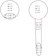 Graphical abstract: Coupling actin dynamics to phase-field in modeling neural growth