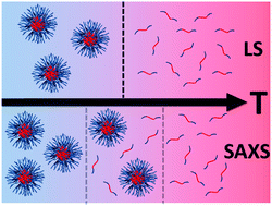 Graphical abstract: Complementary light scattering and synchrotron small-angle X-ray scattering studies of the micelle-to-unimer transition of polysulfobetaines
