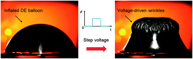 Graphical abstract: Nucleation and propagation of voltage-driven wrinkles in an inflated dielectric elastomer balloon