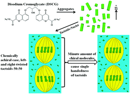 Graphical abstract: Chirality amplification and detection by tactoids of lyotropic chromonic liquid crystals