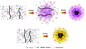 Graphical abstract: Toward the dynamic phase transition mechanism of a thermoresponsive ionic liquid in the presence of different thermoresponsive polymers
