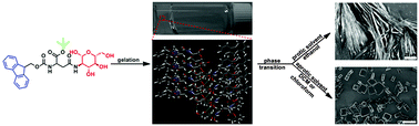 Graphical abstract: A supramolecular gel based on a glycosylated amino acid derivative with the properties of gel to crystal transition