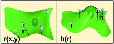 Graphical abstract: Diffusing colloidal probes of cell surfaces
