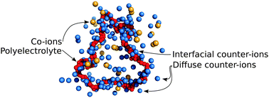 Graphical abstract: Counter-ion distribution around flexible polyelectrolytes having different molecular architecture