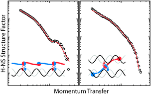 Graphical abstract: Structure of the H-NS–DNA nucleoprotein complex