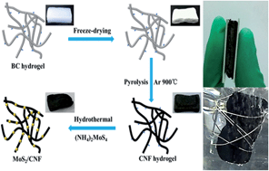 Graphical abstract: A bulky and flexible electrocatalyst for efficient hydrogen evolution based on the growth of MoS2 nanoparticles on carbon nanofiber foam