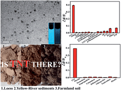 Graphical abstract: Highly fluorescent polymeric nanoparticles based on melamine for facile detection of TNT in soil