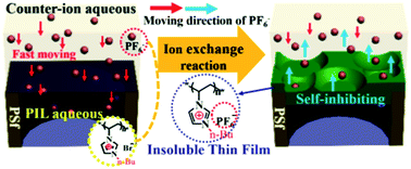 Graphical abstract: Preparation of a positively charged nanofiltration membrane based on hydrophilic–hydrophobic transformation of a poly(ionic liquid)