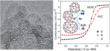 Graphical abstract: N-doped carbon nanocages with high catalytic activity and durability for oxygen reduction