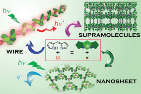 Graphical abstract: New aspects in bis and tris(dipyrrinato)metal complexes: bright luminescence, self-assembled nanoarchitectures, and materials applications