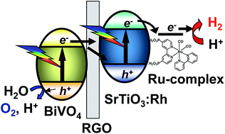 Graphical abstract: Z-scheme water splitting under visible light irradiation over powdered metal-complex/semiconductor hybrid photocatalysts mediated by reduced graphene oxide