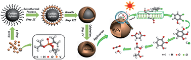Graphical abstract: Insight into the mechanism of photocatalytic degradation of gaseous o-dichlorobenzene over flower-type V2O5 hollow spheres