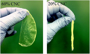 Graphical abstract: A cellulose nanocrystal-based composite electrolyte with superior dimensional stability for alkaline fuel cell membranes