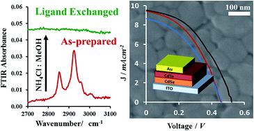Graphical abstract: Safer salts for CdTe nanocrystal solution processed solar cells: the dual roles of ligand exchange and grain growth