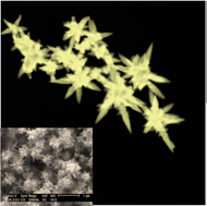 Graphical abstract: Temperature-induced Au nanostructure synthesis in a nonaqueous deep-eutectic solvent for high performance electrocatalysis