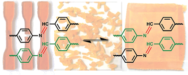 Graphical abstract: Catalyst-free dynamic exchange of aromatic Schiff base bonds and its application to self-healing and remolding of crosslinked polymers