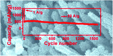 Graphical abstract: “Sea cucumber”-like Ti@MoO3 nanorod arrays as self-supported lithium ion battery anodes with enhanced rate capability and durability