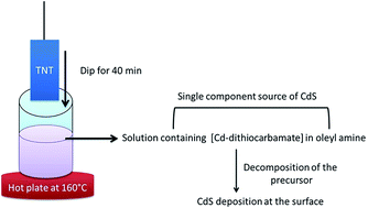 Graphical abstract: A one-pot strategy for coupling chalcogenide nanocrystals with 1D oxides for solar-driven processes