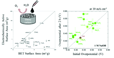 Graphical abstract: Benchmarking nanoparticulate metal oxide electrocatalysts for the alkaline water oxidation reaction