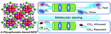 Graphical abstract: Kinetic molecular sieving, thermodynamic and structural aspects of gas/vapor sorption on metal organic framework [Ni1.5(4,4′-bipyridine)1.5(H3L)(H2O)3][H2O]7 where H6L = 2,4,6-trimethylbenzene-1,3,5-triyl tris(methylene)triphosphonic acid
