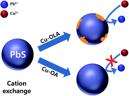 Graphical abstract: Highly efficient solid-state mesoscopic PbS with embedded CuS quantum dot-sensitized solar cells