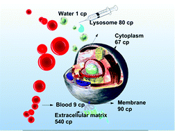 Graphical abstract: Viscosity enhanced release (VER) effect in nanoporous drug delivery systems: phenomenon and mechanism