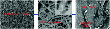 Graphical abstract: Constructing a novel three-dimensional scaffold with mesoporous TiO2 nanotubes for potential bone tissue engineering