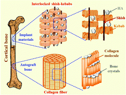 Graphical abstract: Injection-molded hydroxyapatite/polyethylene bone-analogue biocomposites via structure manipulation