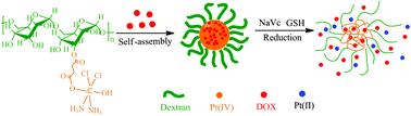 Graphical abstract: A dextran–platinum(iv) conjugate as a reduction-responsive carrier for triggered drug release