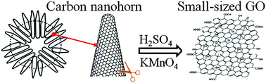 Graphical abstract: Preparation of small-sized graphene oxide sheets and their biological applications